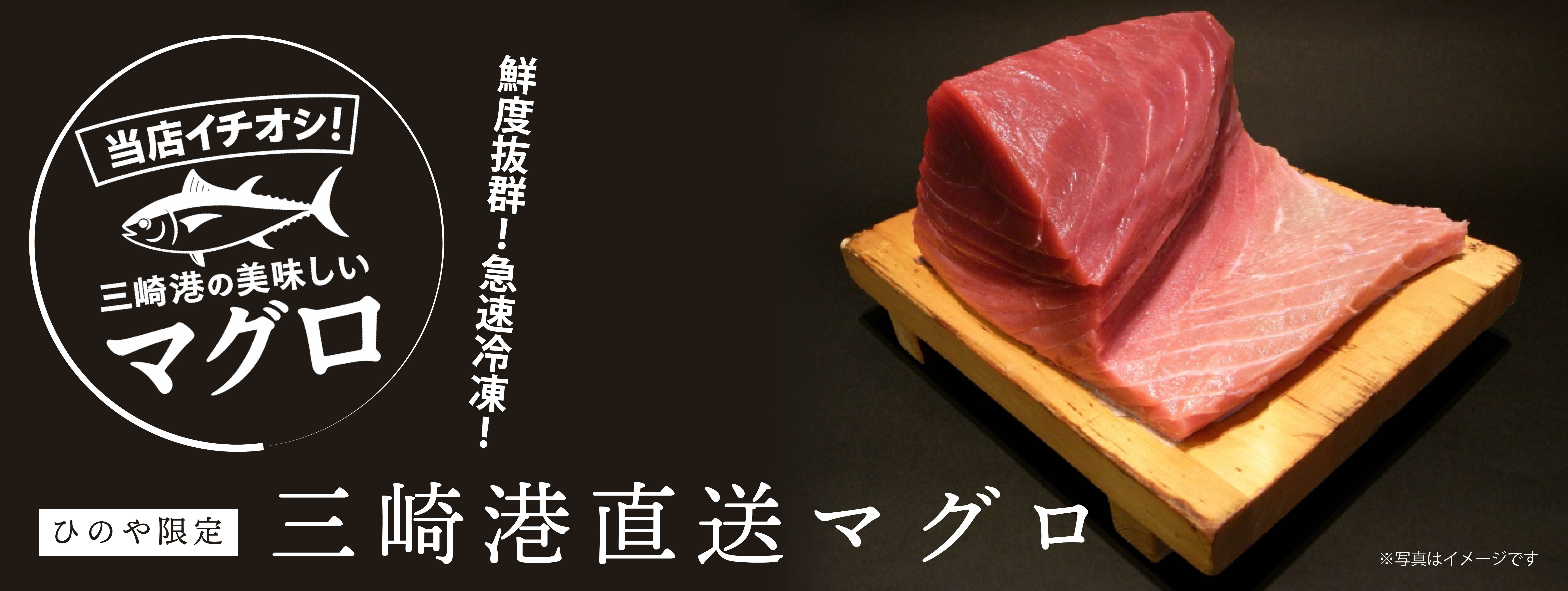 三崎港直送ひのやのマグロ