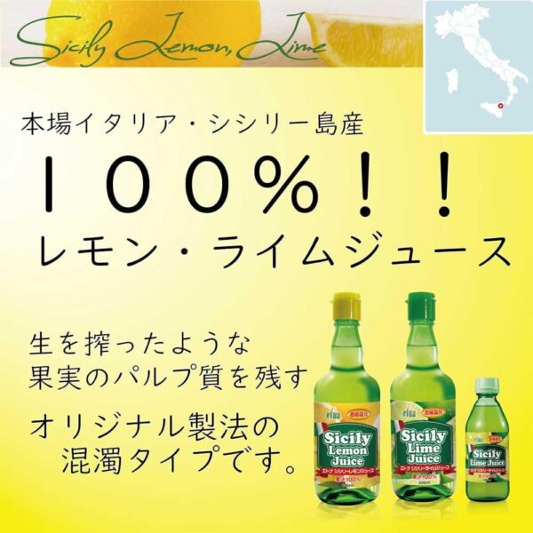 エトナ シシリーライムジュース 100% 白濁タイプ 600ml×12本 - 画像 (2)