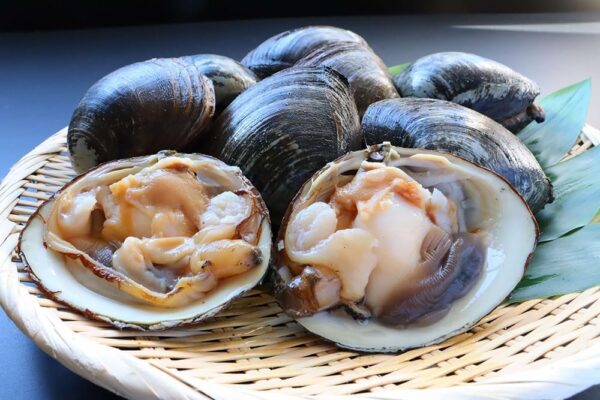 北海道長万部産 活黒ホッキ貝 約1kg(3個~4個)