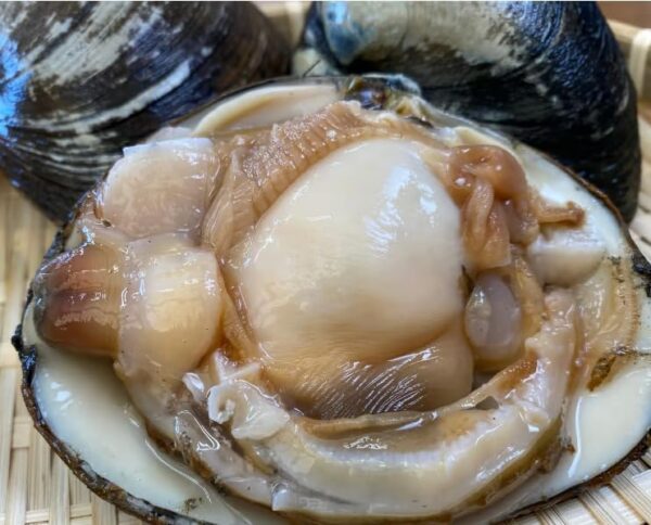 北海道長万部産 活黒ホッキ貝 約1kg(3個~4個) - 画像 (2)