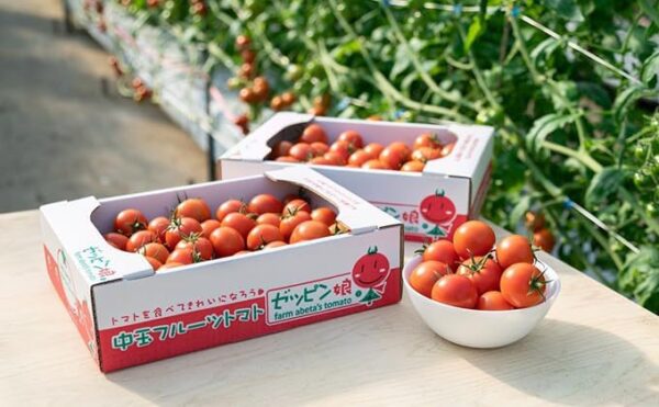 茨城県産 トマト 華おとめ 約1kg