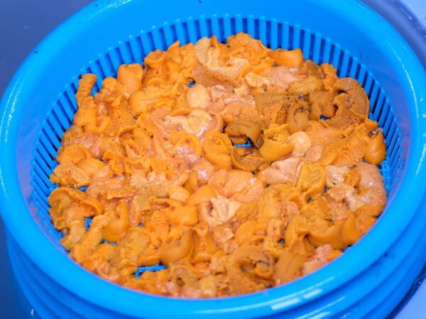 北方四島産(ロシア産) 塩水ウニ 100g - 画像 (4)