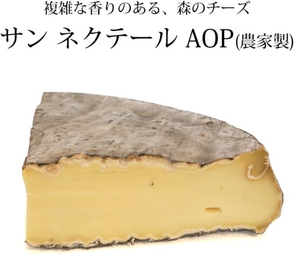 フランス産 サン ネクテール フェルミエ 約300g AOC セミハード チーズ - 画像 (2)