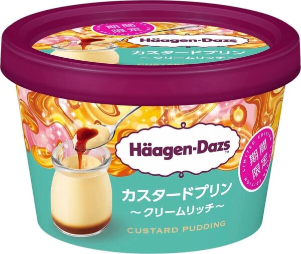 ハーゲンダッツ カスタードプリン クリームリッチ110ml×6個