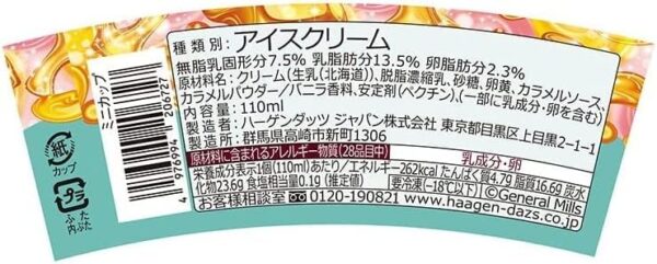 ハーゲンダッツ カスタードプリン クリームリッチ110ml×6個 - 画像 (2)