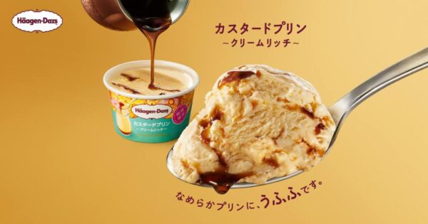 ハーゲンダッツ カスタードプリン クリームリッチ110ml×6個 - 画像 (3)