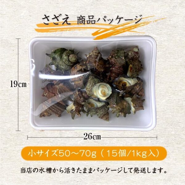 天然活 さざえ 小サイズ 1kg 15個 50~70g [さざえ] - 画像 (4)
