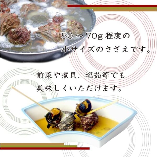天然活 さざえ 小サイズ 1kg 15個 50~70g [さざえ] - 画像 (5)