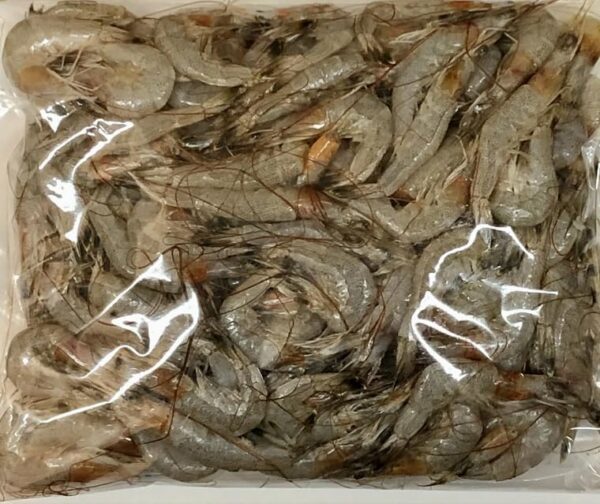 冷凍 熊本県産 芝エビ 1kg IQF - 画像 (3)