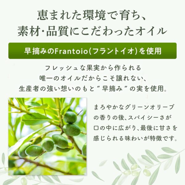 【SPICY】エキストラバージン オリーブオイル ICONO(アイコノ) 500ml by MORE Chile - 画像 (3)