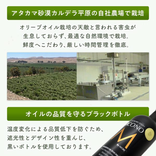【SPICY】エキストラバージン オリーブオイル ICONO(アイコノ) 500ml by MORE Chile - 画像 (4)