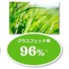 グラスフェッド ゴーダチーズ クラッシュタイプ 約60g - 画像 (3)