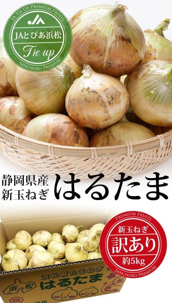 新玉ねぎ はるたま 訳あり 約5kg JAとぴあ浜松 静岡県産 タマネギ - 画像 (2)