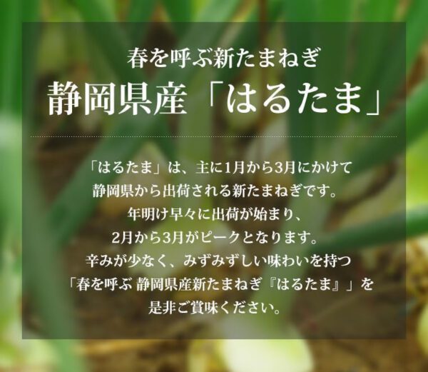 新玉ねぎ はるたま 訳あり 約5kg JAとぴあ浜松 静岡県産 タマネギ - 画像 (3)
