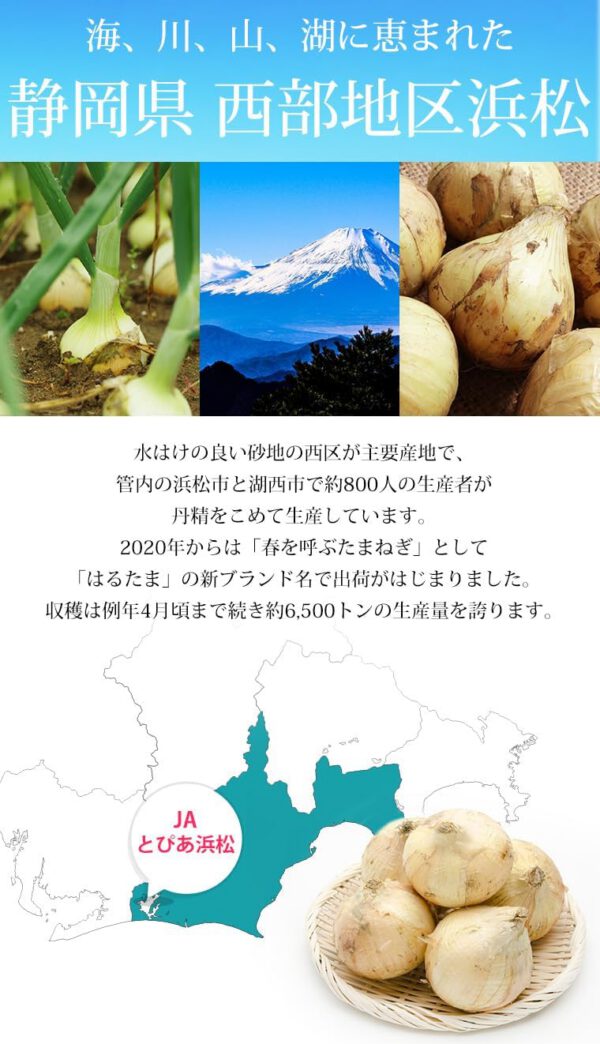 新玉ねぎ はるたま 訳あり 約5kg JAとぴあ浜松 静岡県産 タマネギ - 画像 (5)