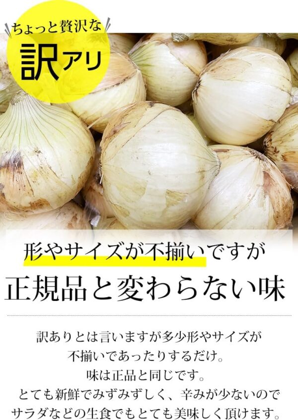 新玉ねぎ はるたま 訳あり 約5kg JAとぴあ浜松 静岡県産 タマネギ - 画像 (6)
