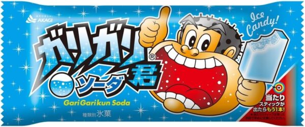 赤城乳業 ガリガリ君ソーダ 110ml×31本