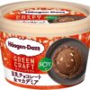 ハーゲンダッツGREEN CRAFT 豆乳チョコレート＆マカデミア110ml (6個)