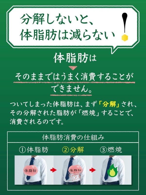 [トクホ]サントリー 伊右衛門 特茶 お茶 500ml×24本 - 画像 (6)