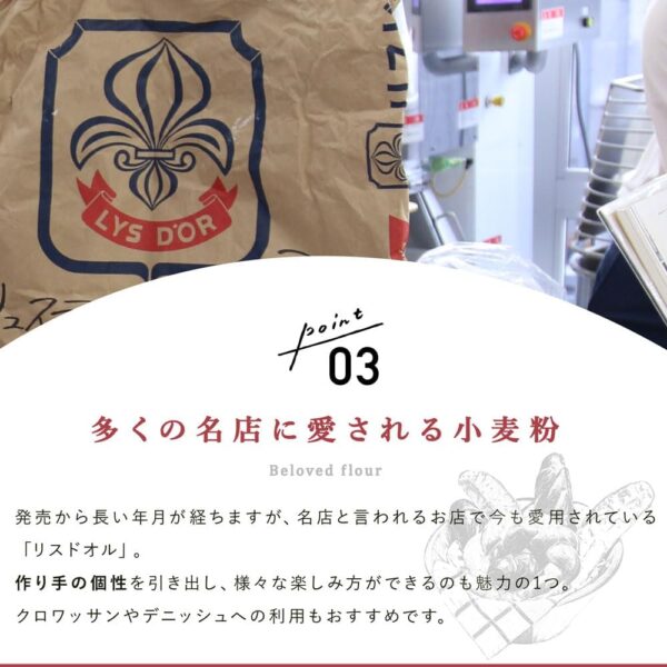 準強力粉 リスドオル フランスパン用小麦粉 日清製粉 業務用 25kg - 画像 (6)