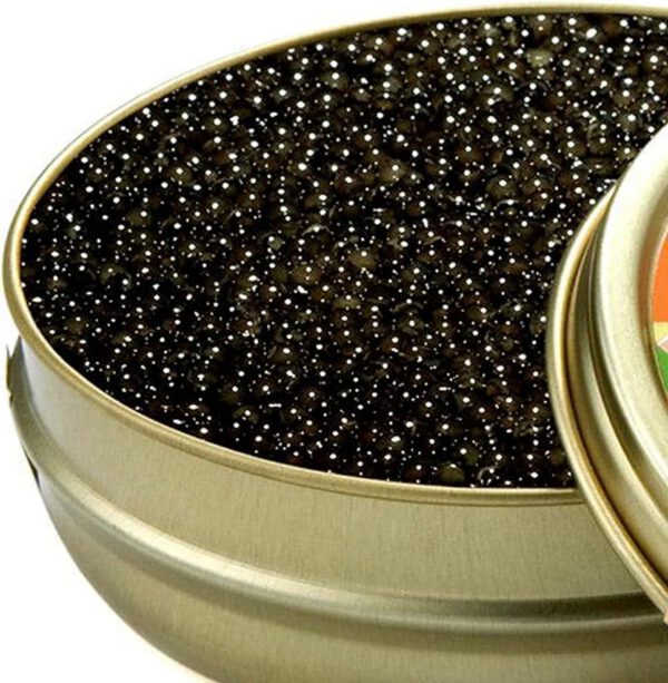 最高峰フレッシュキャビア フランス STURIA社製 (100g（50g×2）)【化粧箱入り】