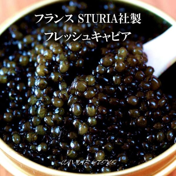 最高峰フレッシュキャビア フランス STURIA社製 (100g（50g×2）)【化粧箱入り】 - 画像 (5)