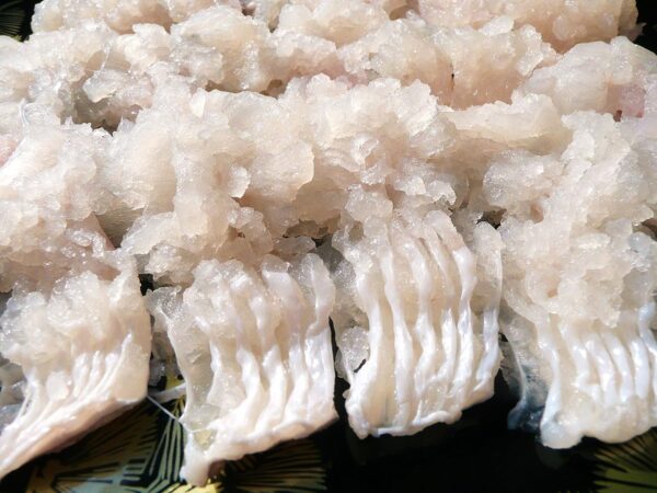 山口県宇部産 活鱧（ハモ1尾～3尾）天然ハモフィレ(骨切りパック約500g) 骨切り済み
