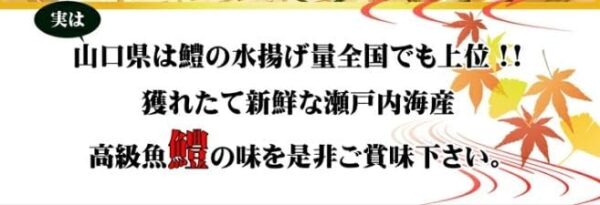 山口県宇部産 活鱧（ハモ1尾～3尾）天然ハモフィレ(骨切りパック約500g) 骨切り済み - 画像 (7)