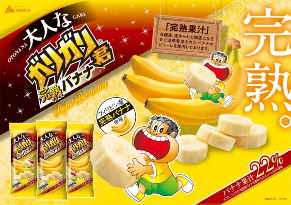 赤城乳業 大人なガリガリ君 完熟バナナ100ml×24袋 - 画像 (3)