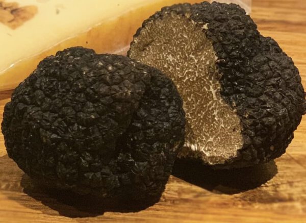 イタリア産 毎週輸入 季節限定11月末ごろまで グレートリュフ 秋トリュフ ウィンタートリュフ 約50g前後 - 画像 (5)