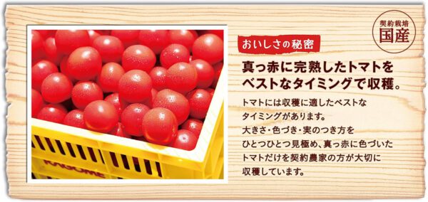 カゴメ トマトジュース 低塩 190g×30本 - 画像 (4)