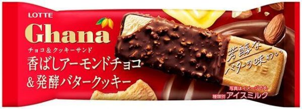 ロッテ ガーナスティック 76ml×24袋