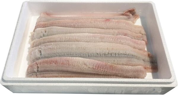 国産 骨きり はも（鱧） 1kg