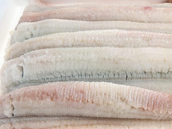 国産 骨きり はも（鱧） 1kg - 画像 (3)