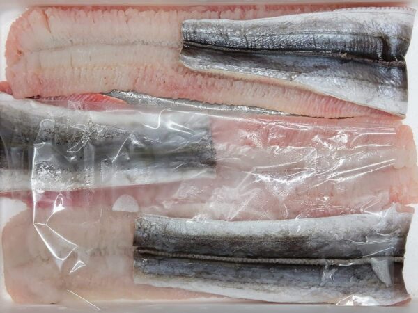 国産 骨きり はも（鱧） 1kg - 画像 (7)