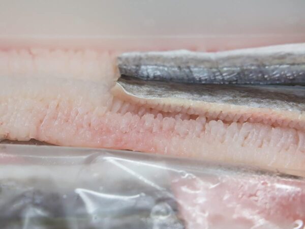 国産 骨きり はも（鱧） 1kg - 画像 (8)