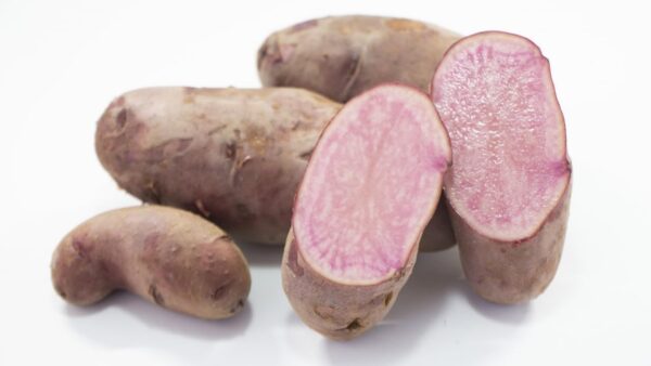 ノーザンルビー ジャガイモ じゃがいも (約5㎏)