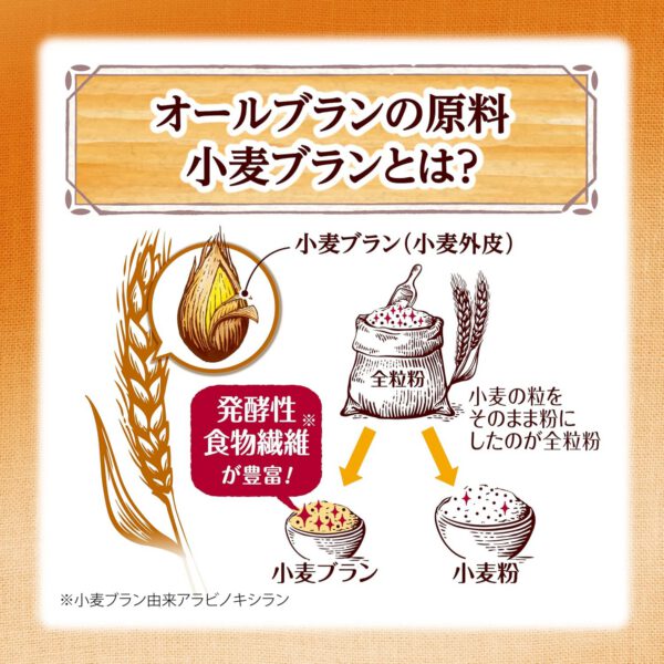 ケロッグ オールブラン ブランリッチ210g ×6袋 機能性表示食品 - 画像 (3)