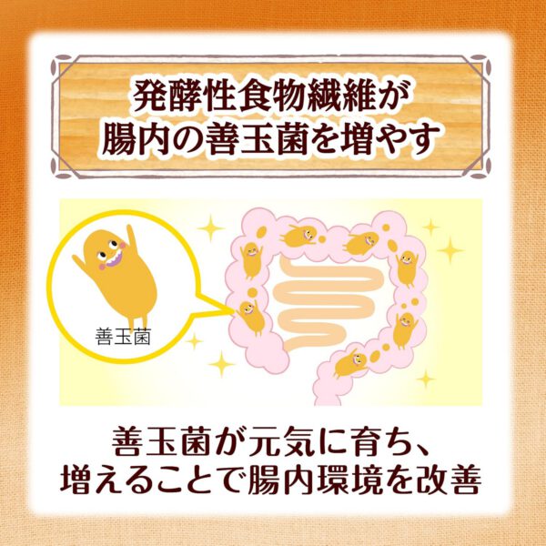 ケロッグ オールブラン ブランリッチ210g ×6袋 機能性表示食品 - 画像 (4)