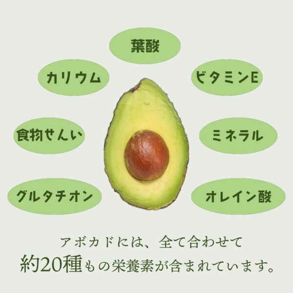 南国フルーツ メキシコ産 アボカド 12玉(200gx12玉) - 画像 (3)