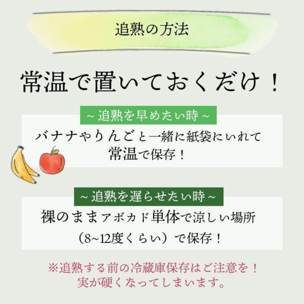 南国フルーツ メキシコ産 アボカド 12玉(200gx12玉) - 画像 (5)