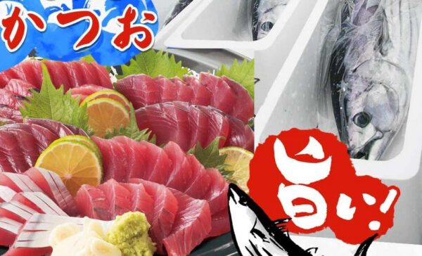 宮城県気仙沼産 一本釣り カツオ 鰹 セミドレス（内臓処理済み） 約2㎏ 冷蔵