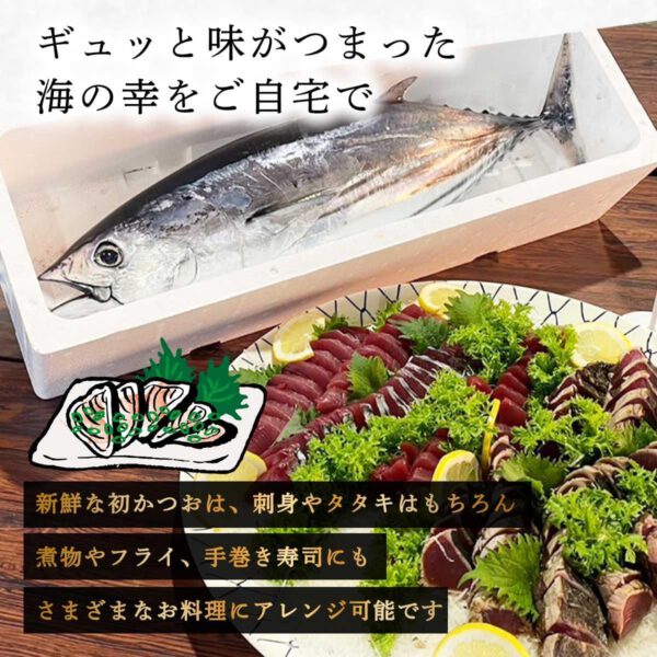 宮城県気仙沼産 一本釣り カツオ 鰹 セミドレス（内臓処理済み） 約2㎏ 冷蔵 - 画像 (2)