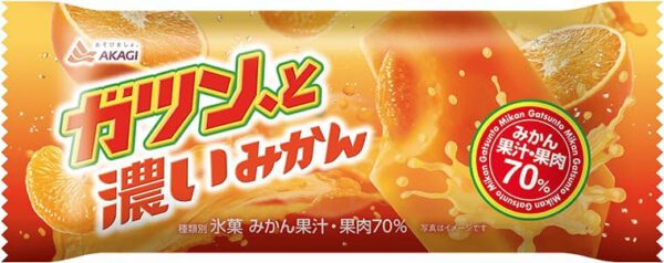 赤城乳業 ガツン、と 濃いみかん90ml×24袋
