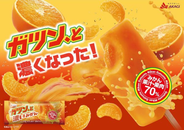 赤城乳業 ガツン、と 濃いみかん90ml×24袋 - 画像 (4)