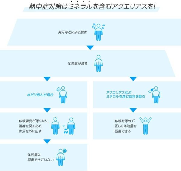 コカ・コーラ アクエリアス 2L - 画像 (8)