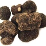 フレッシュ 黒トリュフ 東北三省産 約50g
