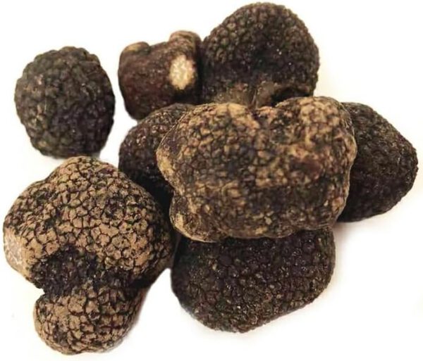 フレッシュ 黒トリュフ 東北三省産 約50g