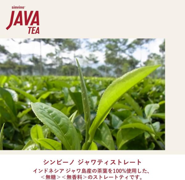 JAVA TEA(ジャワティ) 大塚食品シンビーノストレート レッド 無糖 茶 270ml×24本 - 画像 (2)