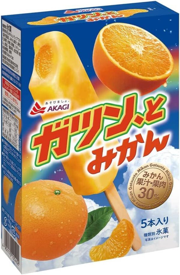 赤城乳業 ガツンと みかん 58mlX5本 ×7箱